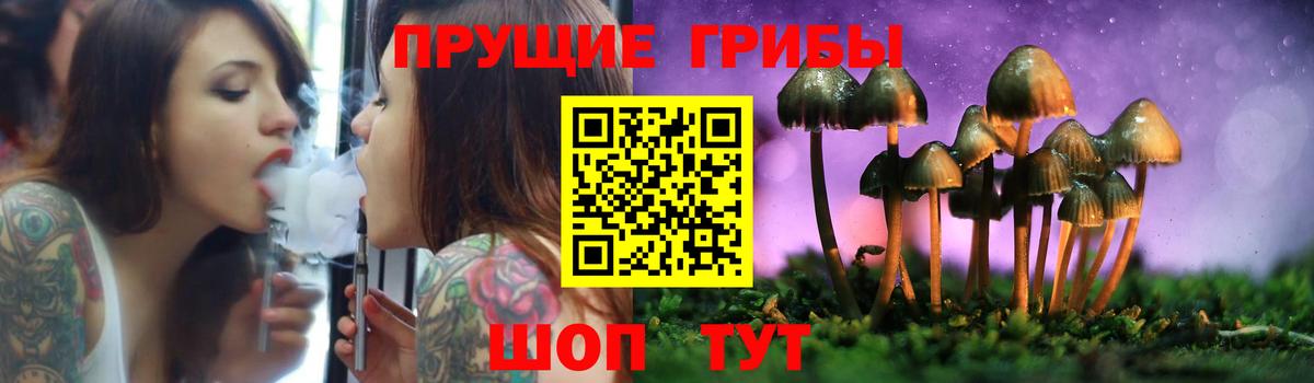 Галлюциногенные грибы MAGIC MUSHROOMS  хочу наркоту  Вход с VPN  Егорьевск  Галлюциногенные грибы мухоморы 